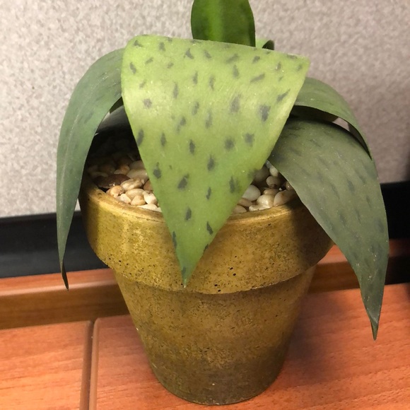 Meet your Posher, Summer - Picture 1 of 1